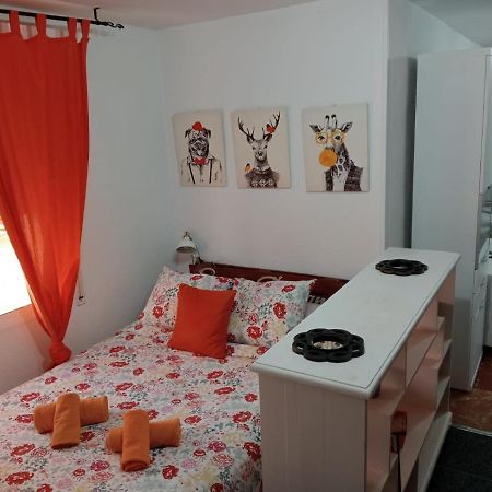 Apartamento Apartamento Con Encanto 'Larios Studio' Málaga Exterior foto